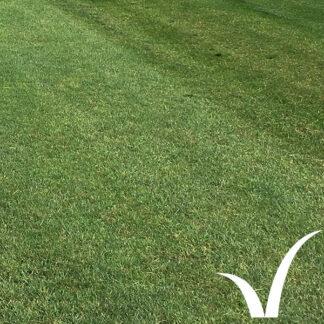 Landscape Plus Turf product